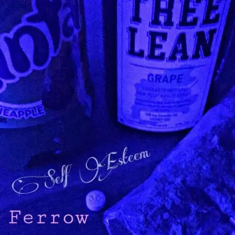 Self Esteem by Ferrow