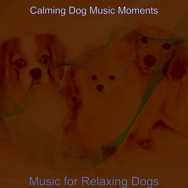 Sublime Moods for Sleeping Dogs