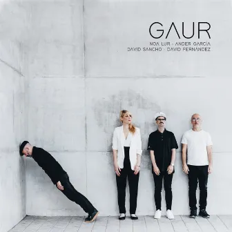 Gaur by Noa Lur