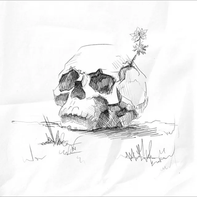 skull