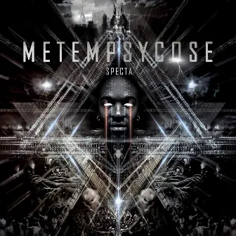 Metempsycose by Specta