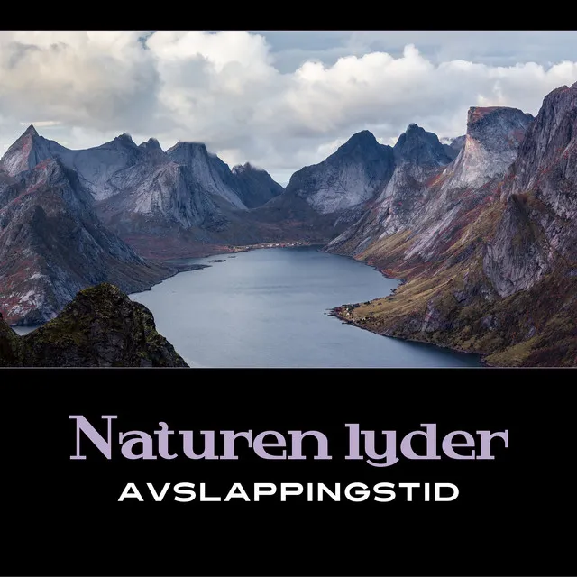 Naturen lyder (Avslappingstid, Musikk for meditasjon og kontemplasjon, Spa og velvære)