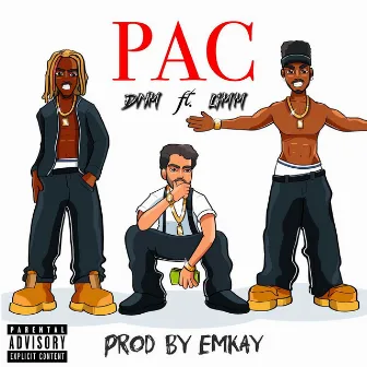 Pac (feat. LiMM) by DNM