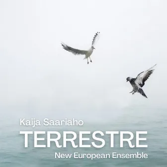 Terrestre by New European Ensemble