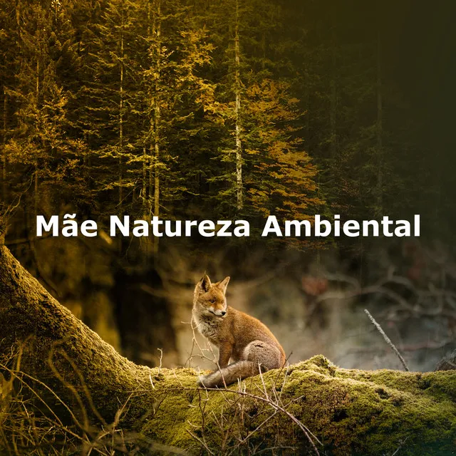 Mãe Natureza Ambiental