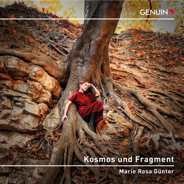 Kosmos und Fragment