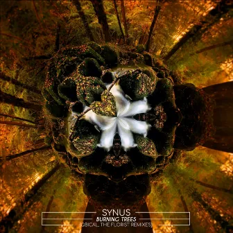 Burning Trees by sYnus