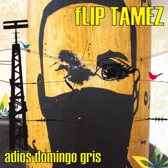 Adiós Domingo Gris by fLIP Tamez