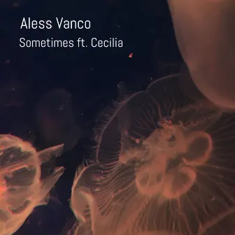 Sometimes (Radio Edit) by Aless Vanco