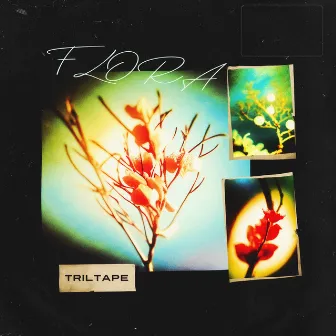 FLORA by TRILTAPE