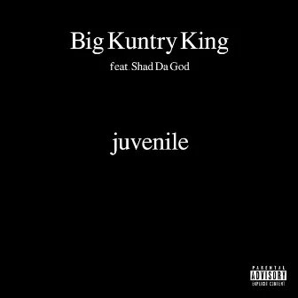 Juvenile (feat. Shad Da God) by Big Kuntry King