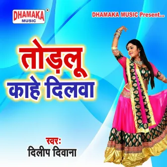 Todalu Kahe Dilwa by Dilip Diwana