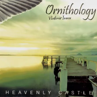 Heavenly Castle by Vladimir Ivanov Ornithology