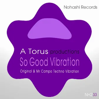 So Good Vibration by Mr Campo