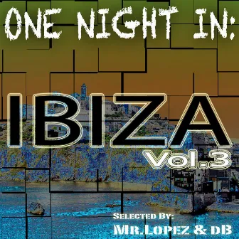 One Night In: Ibiza, Vol.3 by Unknown Artist