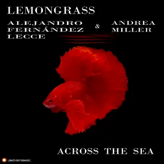 Across The Sea by Alejandro Fernandez Lecce