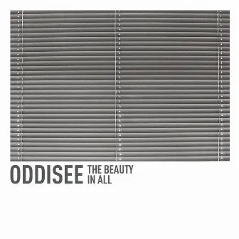 The Beauty in All by Oddisee