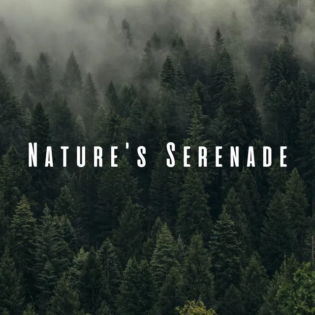 Nature's Serenade: Relaxing Massages with Chill Sounds