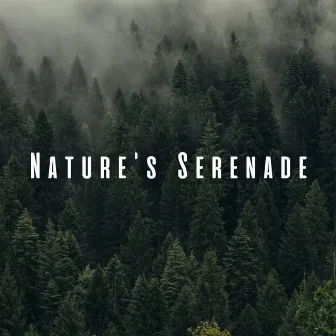 Nature's Serenade: Relaxing Massages with Chill Sounds by Asian Zen Spa Music Experience