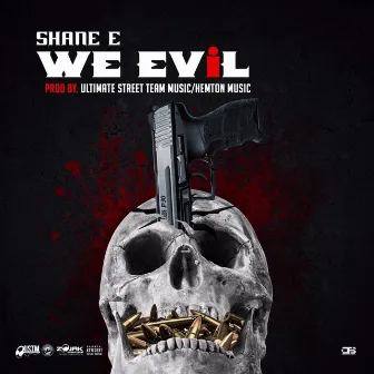 We Evil by Shane E