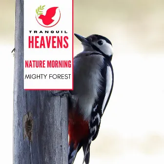 Nature Morning - Mighty Forest by Cosmic Nature Sounds