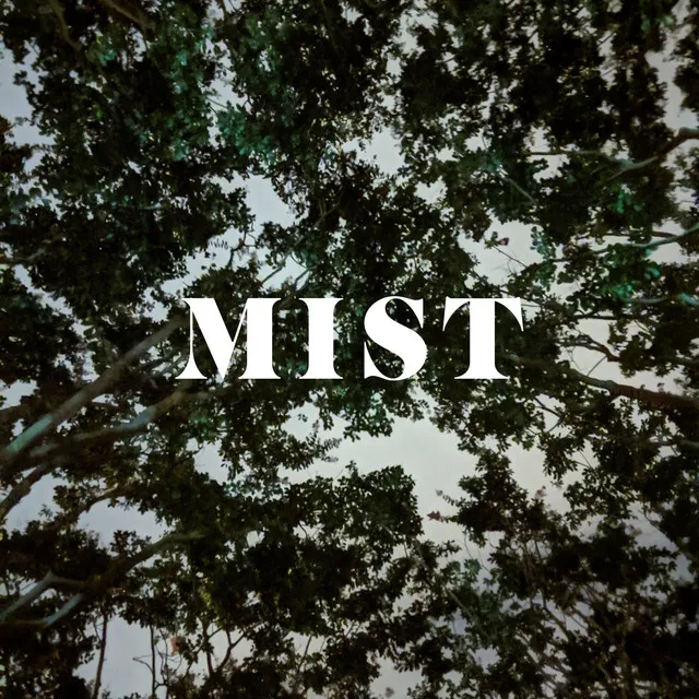 Mist