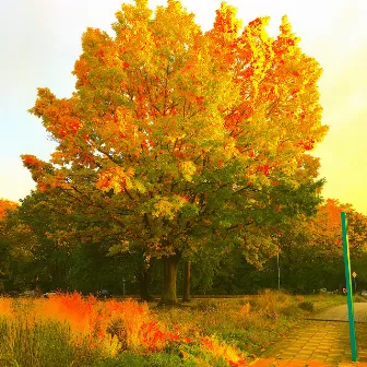 Golden Trees by Iain MacNeil