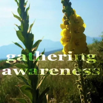 Gathering Awareness by Feeling