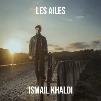 Les Ailes by Ismail Khaldi