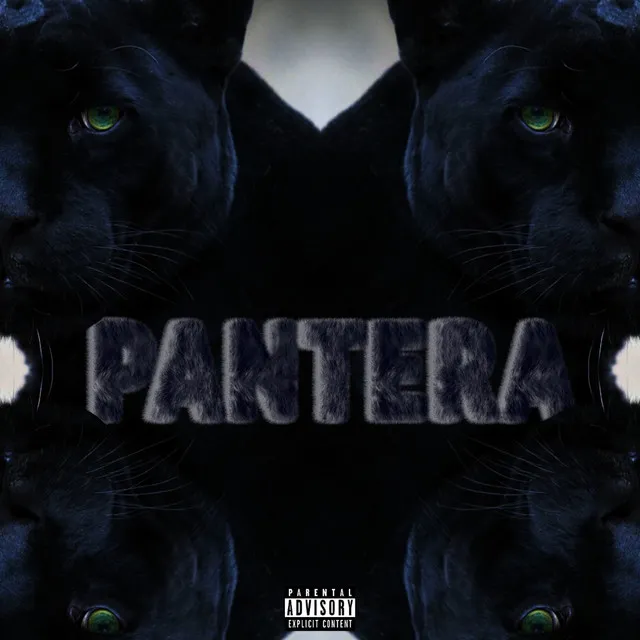 Pantera