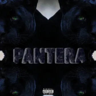 Pantera by Mouk