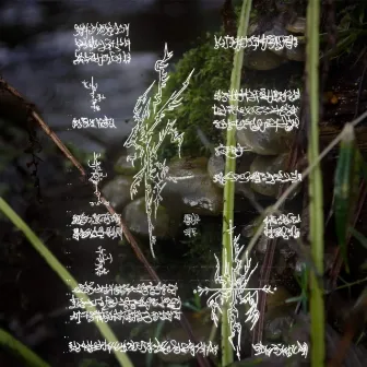 biogeochemicᵃ | *model.0f:milankovitch cYcles//press-->Start2begin(s)imulation .. by .cutspace