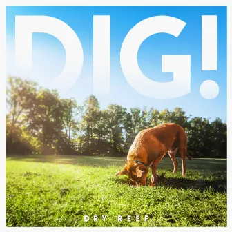 DIG! by Dry Reef