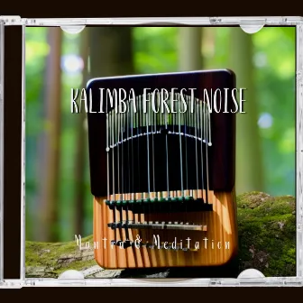 Kalimba Forest Noise by Mantra & Meditation