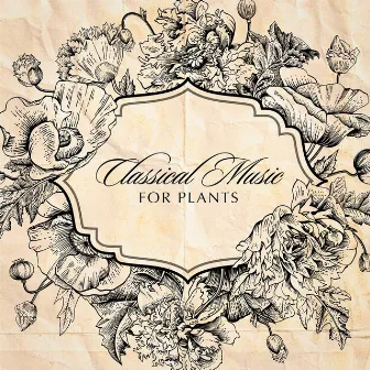 Classical Music for Plants by Radio Musica Clasica