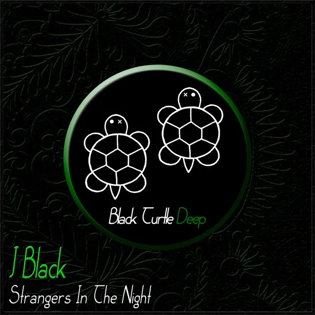 Strangers in the Night - Original Mix