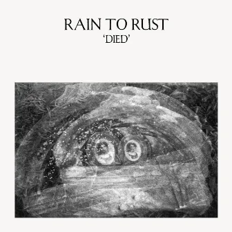 Died by Rain To Rust