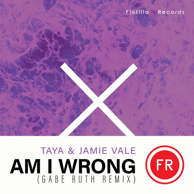 Am I Wrong - Gabe Ruth Remix Extended Mix