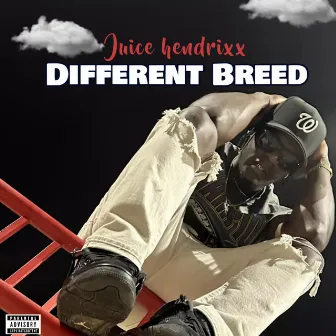 Different Breed by Juice Hendrixx