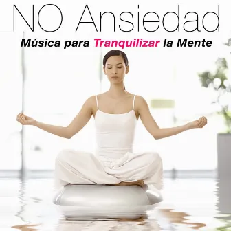 NO Ansiedad: Musica para Tranquilizar la Mente by Unknown Artist