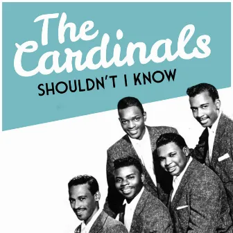 Shouldn't I Know by The Cardinals