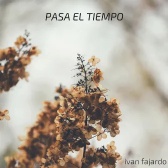 Pasa el Tiempo by Ivan Fajardo