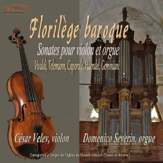 Florilège baroque, Sonates pour violon et orgue by Domenico Severin