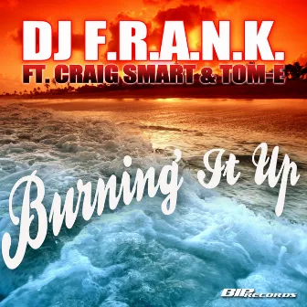 Burning It Up by DJ F.R.A.N.K