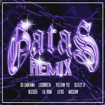 Gatas (Remix) by Legorreta