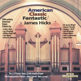 American Classic Fantastic! by Virginia Hicks