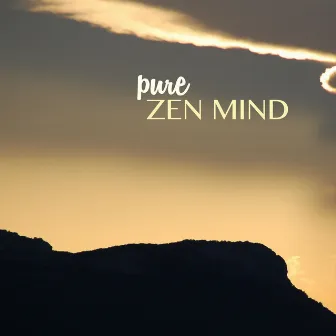 Pure Zen Mind - Piano New Age Meditation Music for Massage, Exam Study and Deep Sleep by Unknown Artist