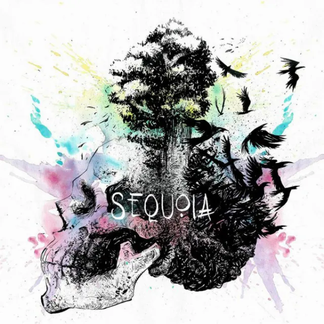 Sequoia