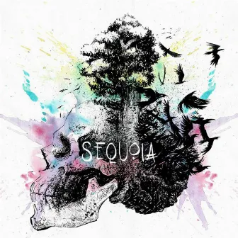 Sequoia by Farewell