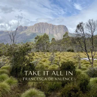 Take It All in by Francesca de Valence